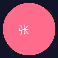 捷克街头张导演